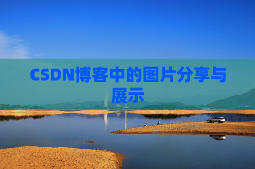 CSDN博客中的图片分享与展示